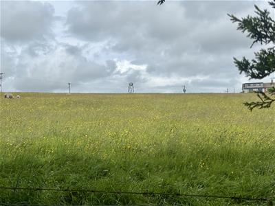 Picture 21
